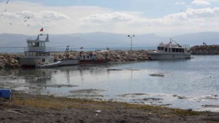 Van Gölü için korkutan açıklama