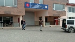 Vanda 9 organizatör tutuklandı