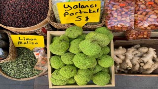 Vatandaşın ağrı kesici arayışına “Yalancı portakal” yetişti