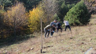 Yaban hayvanları için 175 fidan dikildi
