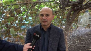 Yalova kivisi yurt dışı pazarına açıldı