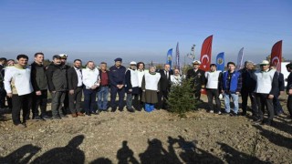 Yalovada 7 bin 700 adet fidan toprakla buluştu