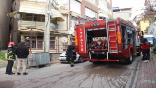 Yanan evden çıkarılan kediyi hayatta tutma mücadelesi