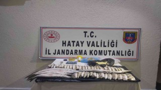 Yasa dışı balık avlayan 3 kişiye 44 bin 580 lira ceza
