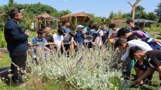 Yeryüzü Ekoloji Okulu çok sevildi