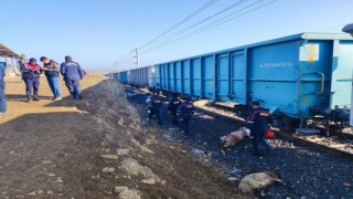 Yük treni sürüye çarptı: Çoban öldü, 30 koyun telef oldu