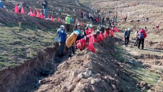 Yüzlerce fidan toprakla buluştu