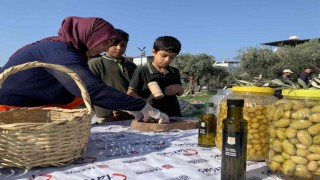 Zeytin gen bahçesi okullara ev sahipliği yapıyor