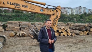 Zonguldakın orman ürünlerini 7 ülkeye ihraç ediyorlar