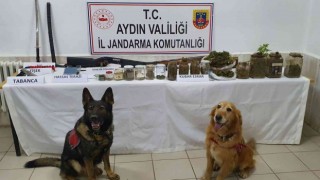 1 haftada 2 kilo uyuşturucu ele geçirildi