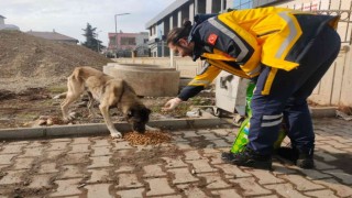 112 Personellerinden sokak hayvanlarına mama desteği