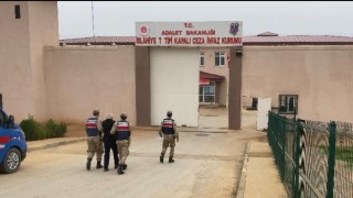 18 yıl kesinleşmiş cezası bulunan firariyi jandarma yakaladı