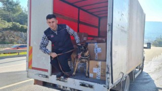 24 saatte 15 bin araç girdi