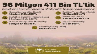 96 milyon 411 bin liralık tarımsal destekleme ödemeleri bugün çiftçilerin hesaplarına aktarılacak