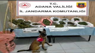 Adanada çiftlik evinde uyuşturucu ele geçirildi