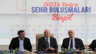 AK Parti Genel Başkan Yardımcısı İleri: Türkiyede, yurt içinde bulamadıkları vizyonu maalesef yabancı danışmanlar ile bulmaya çalışıyorlar