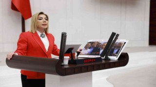 Ak Parti Muğla Milletvekili Gökcandan yeni yıl mesajı