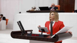AK Partili Gökcan, “Güçlü Türkiyenin inşasını kararlılıkla sürdüreceğiz”