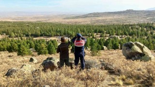 Aksarayda jandarma Anadolu Yaban Koyunlarını dron ile takip ediyor