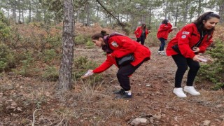 AKUT ve öğrenci kulüpleri sokak hayvanlarına yiyecek bıraktı