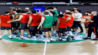 Aliağa Petkim Spor düşüşte