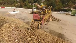 Amasya Şekerden çiftçilere çağrı: “Dilediğiniz kadar pancar ekin