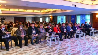 Ankarada Türkiyede Ev Hizmetlerinde Çalışanların İş Sağlığı ve Güvenliği Çalıştayı düzenlendi