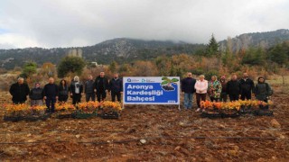 Antalya ile İzmitin “Aronya” kardeşliği