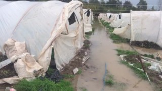 Antalyada çilek seraları sular altında kaldı
