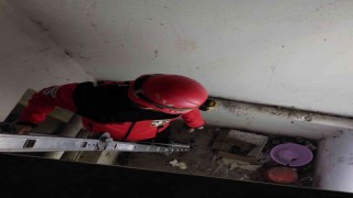 Apartman boşluğunda mahsur kalan kediyi AKUT ekibi kurtardı