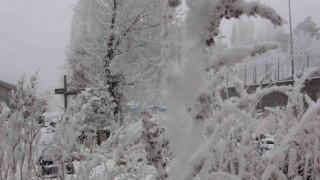 Ardahan eksi 16,7: Sibirya soğukları hayatı olumsuz etkiliyor