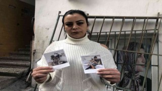 Arnavutköyde arabayla çarpılarak ölen köpeğin sahibi konuştu