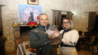 Ayvalıkta şanslı kedi Gümüşe 5. doğum günü partisi