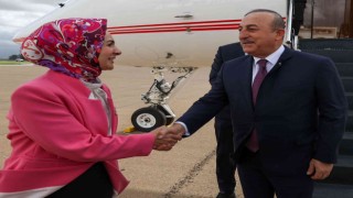 Bakan Çavuşoğlu, Cezayirde