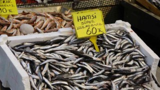 Balık fiyatları geriledi, hamsinin fiyatı 110 TLden 60 TLye düştü