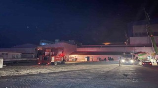 Balık yemi fabrikasındaki yangın kontrol altına alındı