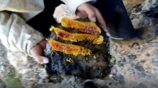 Balını taştan çıkarıyor
