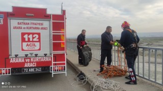 Batman Çayında mahsur kalan yavru kedi için seferber oldular