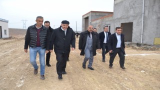 Batmanda 15 milyonluk hayvan barınağı