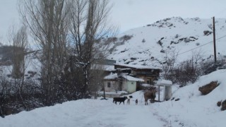 Bayburtun yüksek kesimlerinde kar yağışı etkili oldu