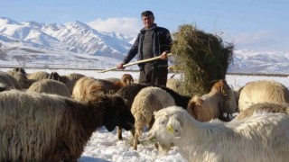 Besicilerin 6 ay süren kış mesaisi başladı