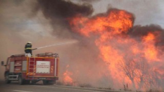 Beyşehir Gölü kıyısındaki sazlıklar alevlere teslim oldu