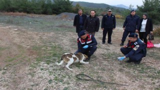 Bilecikte sokak hayvanlarını elleriyle beslediler