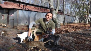 Bin 500 kedi-köpek burada barınıyor
