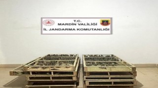 Bin adet saka kuşu bulunduran şahsa 1 milyon 200 bin lira ceza