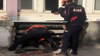 Binanın duvarını yıkıp yavru köpeği kurtardılar