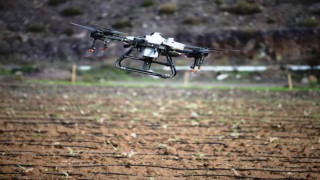 Bodrumda dron hizmeti çiftçinin yüzünü güldürdü