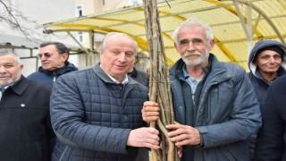 Bozüyükte 898 adet ceviz fidanı dağıtıldı