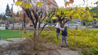 Burhaniye merkezde parklar yenileniyor