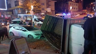 Büyükbaş hayvan yüklü kamyon devrildi